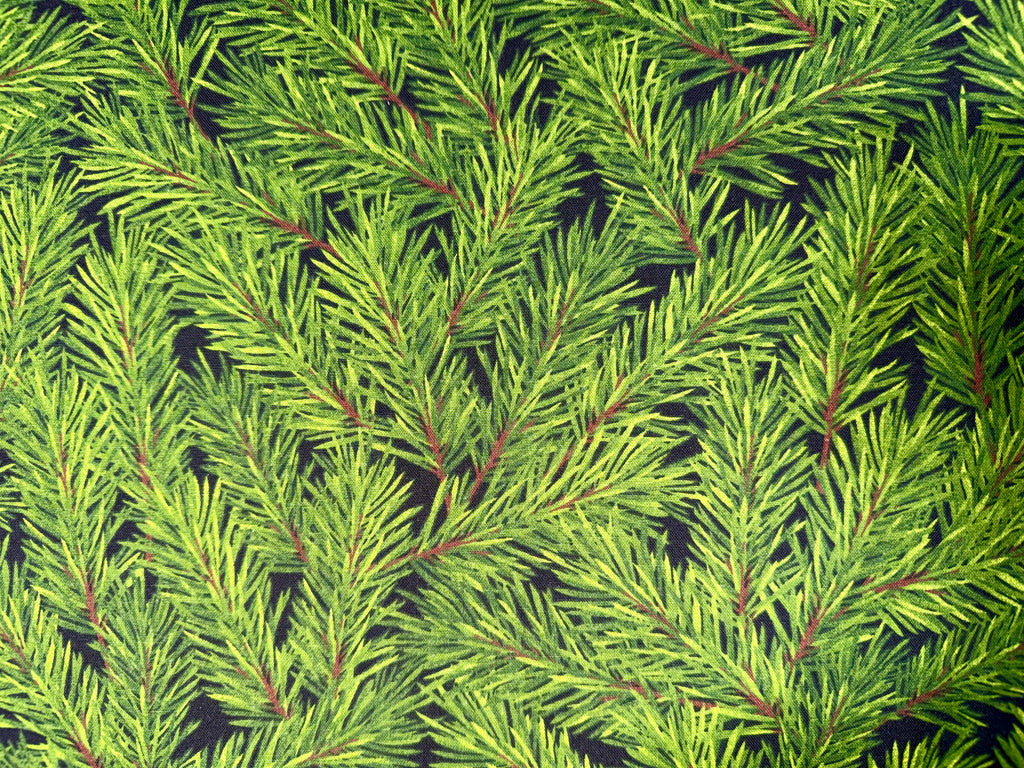 Hiss-Slings On-The-Go Fir Branches