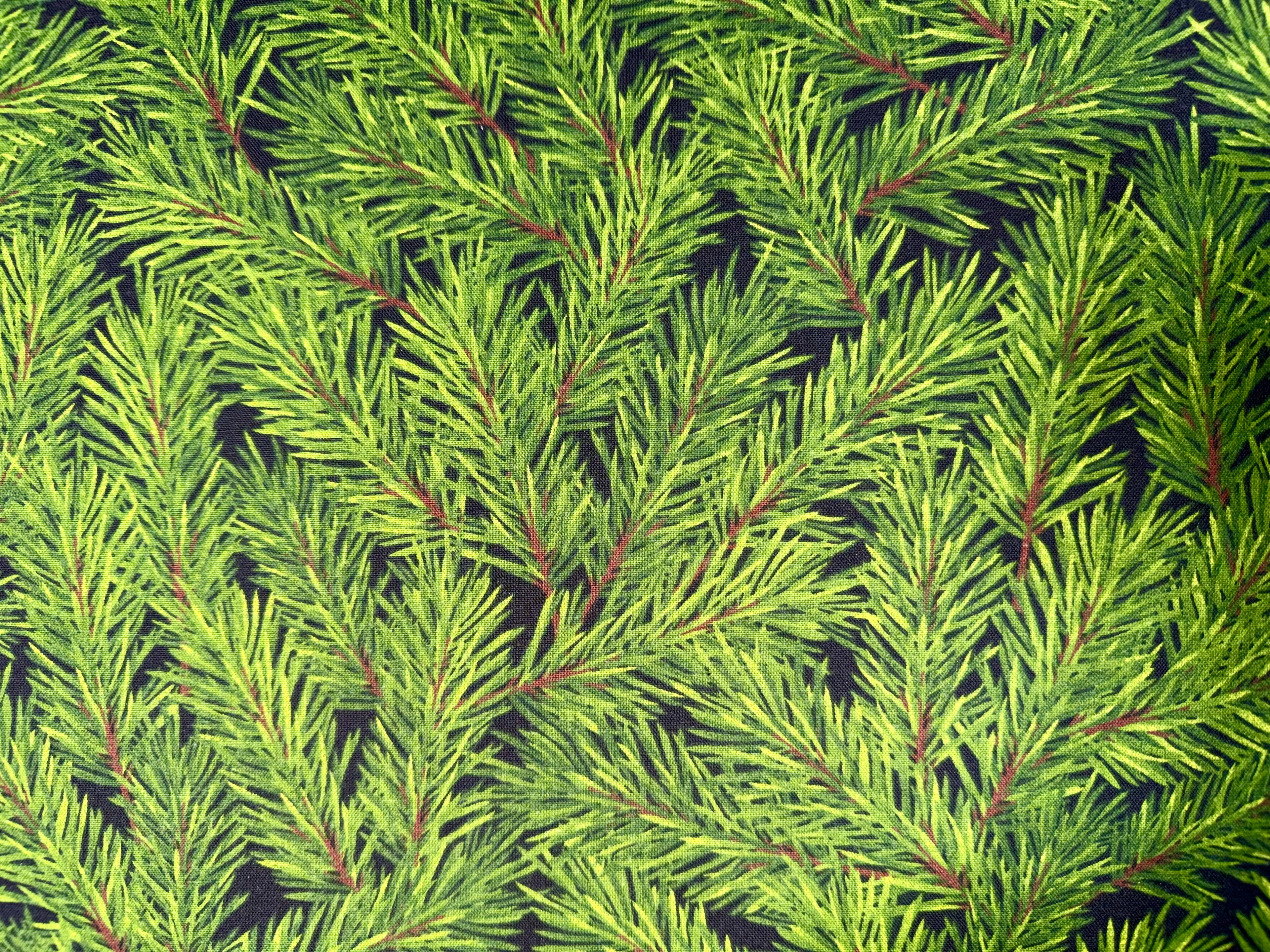 Hiss-Slings On-The-Go Fir Branches