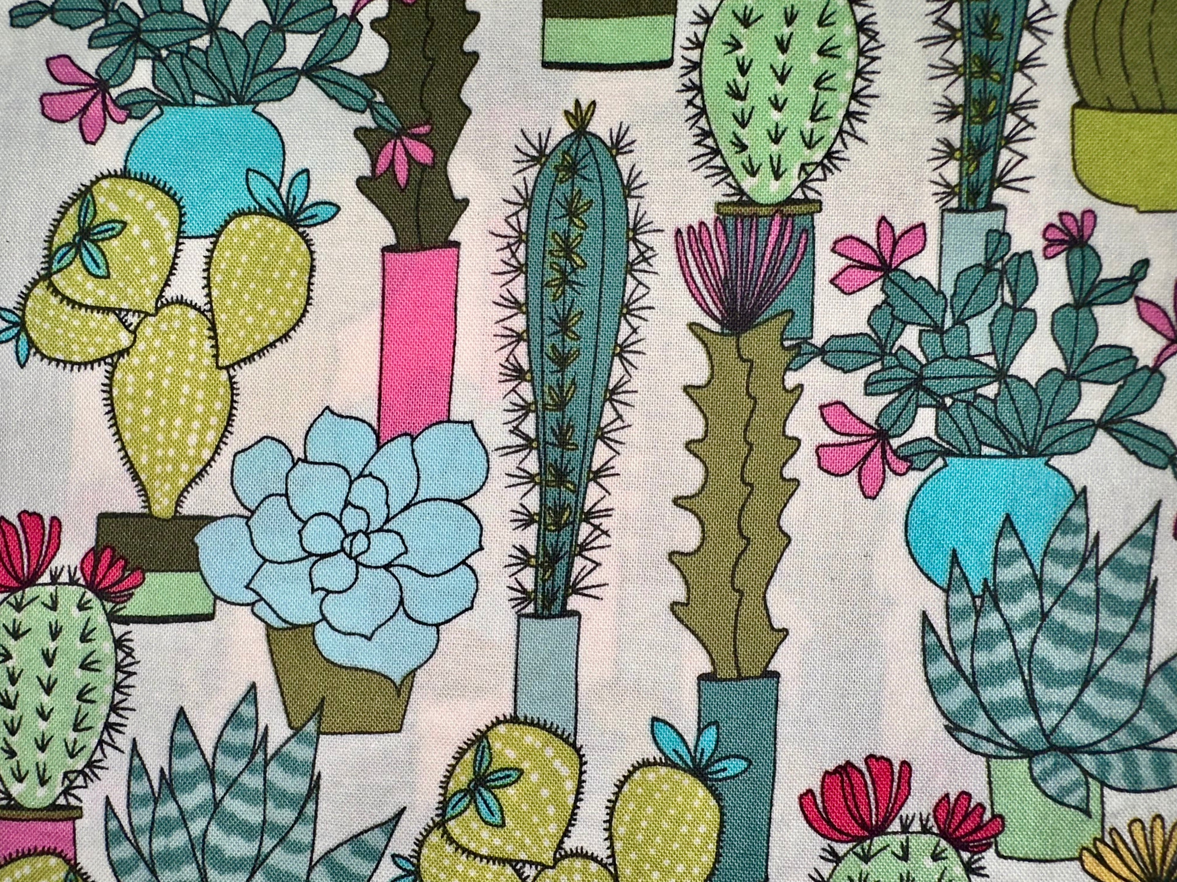 Hiss-Slings On-The-Go Potted Succulants